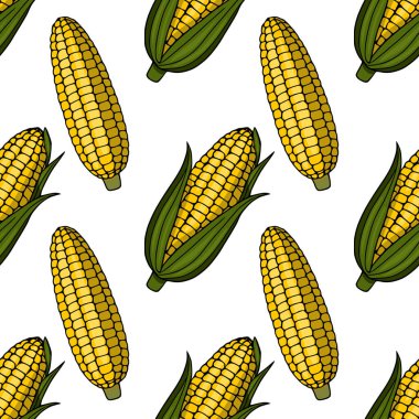 Beyaz arka planda yeşil kabuklu olgun sarı mısır koçanları kusursuz vektör deseni.