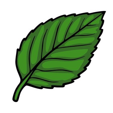Canlı yeşil yaprak çizimi, kalın çizgileri ve katmanlı gölgeli beyaz üzerinde izole edilmiş biçimlendirilmiş vektör..