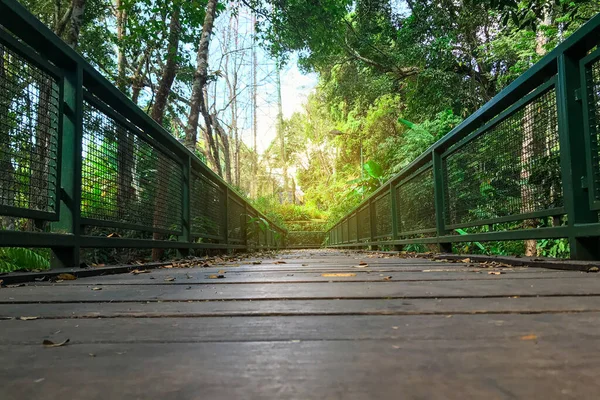 Een Brug Het Bos Natuurlijke Achtergrond — Stockfoto