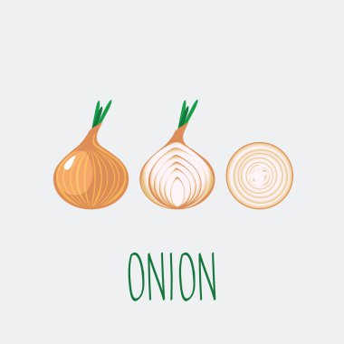 soğan vektör simgesi.