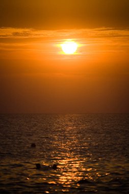 İnsanlar akşamları batan güneşin arka planına karşı denizde yüzerler. Doğa ve insanlar.