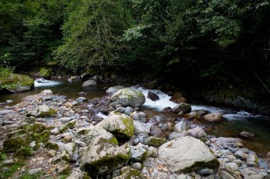 Taşların üzerinden güzel bir dağ nehri akıyor. Georgia 'nın doğası..