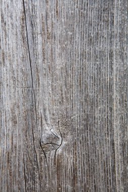 Kurumuş yaşlı bir ağacın güzel dokusu. Yakın plan..