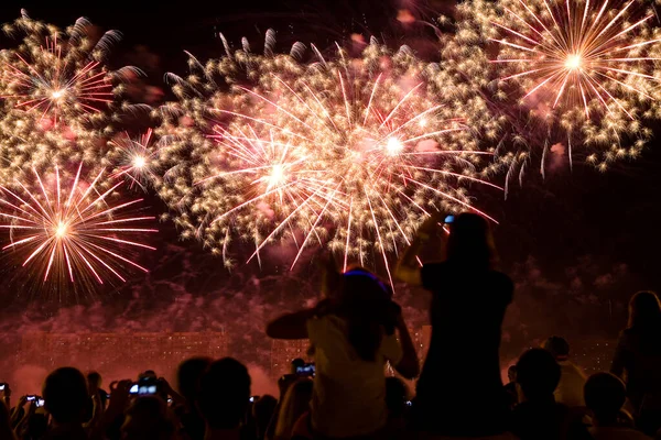 Prachtig Vuurwerk Donkere Avondlucht Voorgrond Ziet Men Silhouetten Van Toeschouwers — Stockfoto