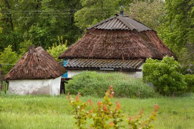 Yeşil manzaralı sazdan çatıları olan geleneksel kırsal kulübe, retro tarzı.