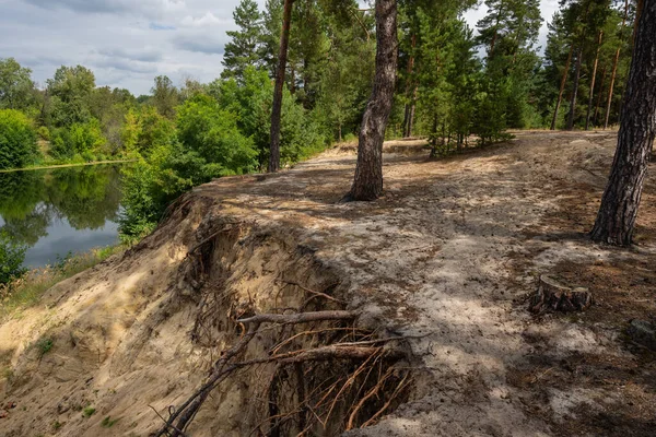 Dik, yüksek kumlu bir uçurum. Çam ağaçları ve yemyeşil bir göl.