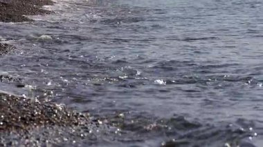 Köpüklü dalgalar sakince taşları kıyıya vurur, yakın plan.