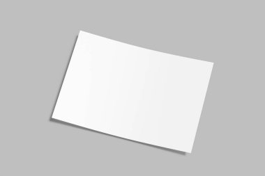 Blank Mockup Design With Shadow