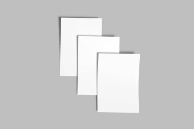 Blank Mockup Design With Shadow