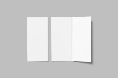 Premium DL Flyer Boş Model