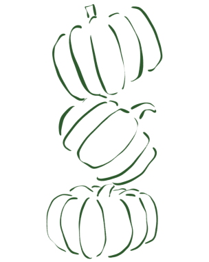 Tuhaf el çizimi balkabağı estetik çizimi. Sonbahar estetik teması, tasarım ögesi, çıkartma için uygundur.