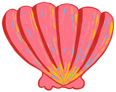 Şirin pembe deniz kabukları el çizimi pastel kalem desenli çizimler. Tasarım ögesi, etiket, yazdırma için mükemmel.