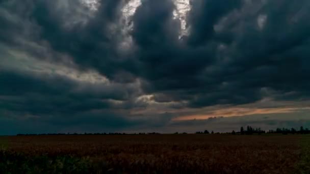 Zonsondergang boven tarweveld tijdspanne. Vespers lucht — Stockvideo