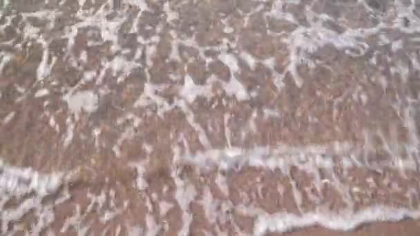 海岸近くの澄んだ海の水。ビーチでサーフィン — ストック動画