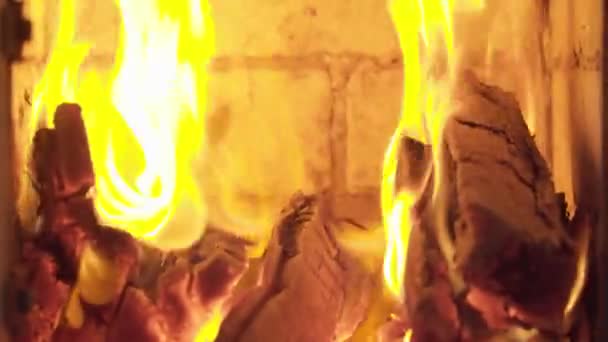 在寒冷的冬天在壁炉里烧柴 — 图库视频影像
