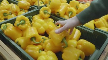 Kadın biberciden sarı biber seçiyor.