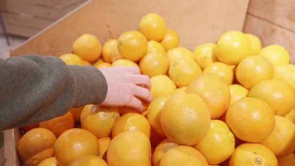 La ragazza sceglie le arance dal supermercato. Arance da vicino — Video Stock