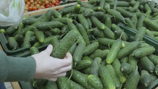 Kobieta wybiera zielone ogórki w supermarkecie — Wideo stockowe