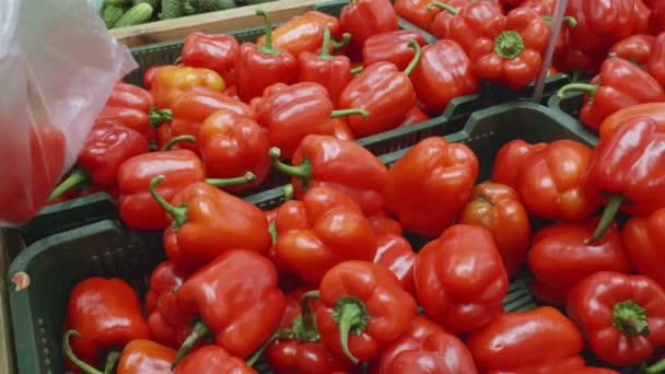 Mujer elige pimientos rojos en una tienda de pimienta — Vídeo de stock