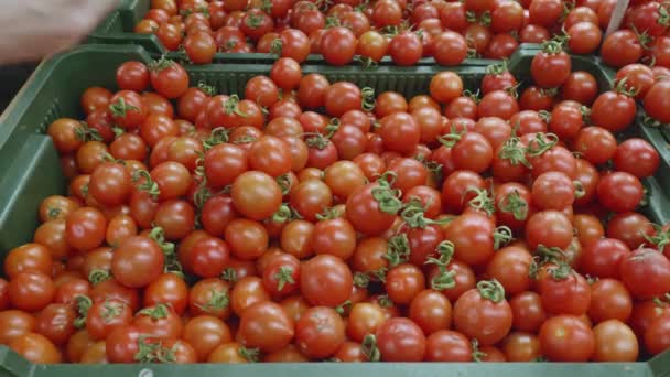 Mulher escolhe tomates na loja — Vídeo de Stock