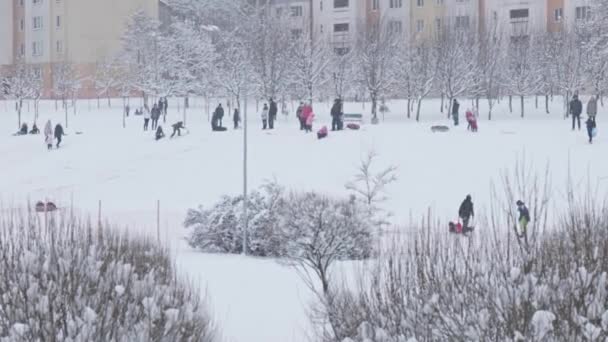 Ευτυχισμένα παιδιά οδηγούν κατηφόρα το χειμώνα — Αρχείο Βίντεο