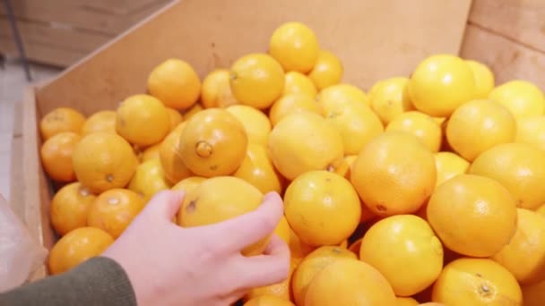 Dziewczyna wybiera pomarańcze z supermarketu. Pomarańcze zamykają — Wideo stockowe