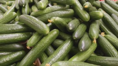 Süpermarketteki rafta taze salatalıklar var.