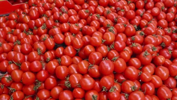 Tomates vermelhos frescos na prateleira do supermercado — Vídeo de Stock