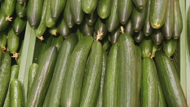 Zielone świeże ogórki na półce w supermarkecie — Wideo stockowe