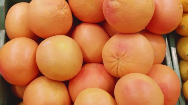 Крупный план грейпфрута на полке супермаркета — стоковое видео
