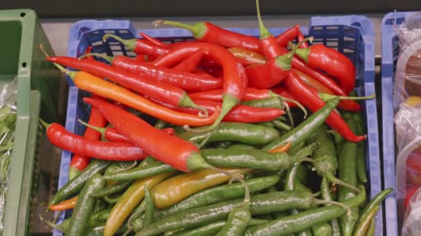 Крупным планом свежих перцев чили на поле в магазине — стоковое видео