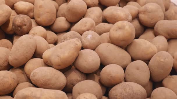 Batatas frescas em uma prateleira de loja fecham — Vídeo de Stock