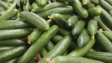 Süpermarketteki rafta taze salatalıklar var.
