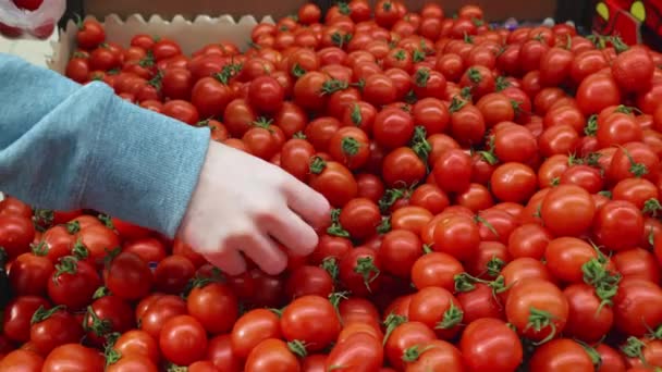 Meisje kiest tomaten. Verse rode tomaten op de plank in de supermarkt — Stockvideo