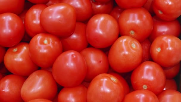 Tomates vermelhos frescos na prateleira do supermercado — Vídeo de Stock