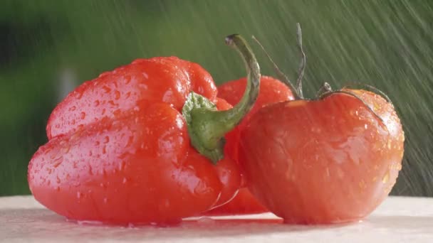 Lavando comida vegetariana close-up. Pimenta e tomate em água corrente — Vídeo de Stock