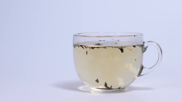 Včasné vaření čaje v průhledném hrnku — Stock video