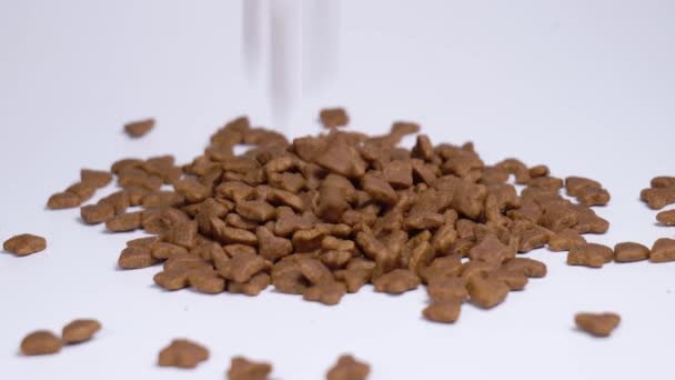 Care se încadrează hrană pisică close-up lent mo — Videoclip de stoc