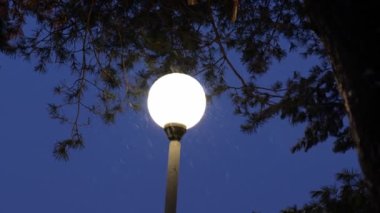 Bir sokak lambasının arkasına kar yağıyor.