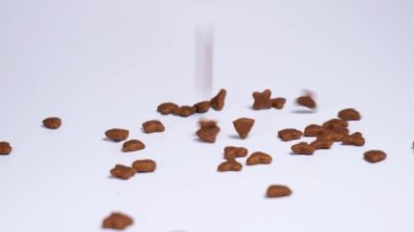 Düşen kedi maması, yavaş çekim.