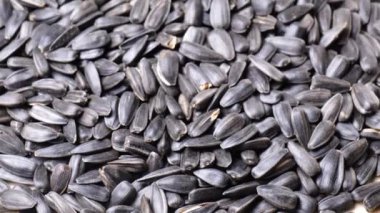 Kızarmış ayçekirdeği yakın çekim dönüşü yavaş.