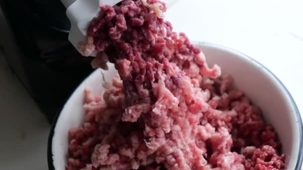 Fazer carne picada em casa close-up — Vídeo de Stock