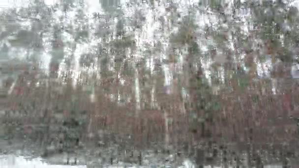 Movimento sulla foresta in una strada innevata dal finestrino dell'auto — Video Stock