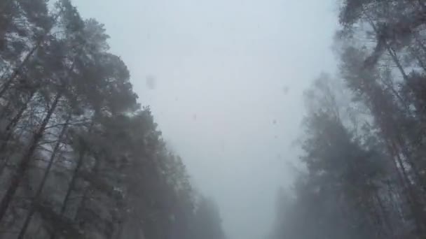 Езда по заснеженной дороге в снегопад — стоковое видео