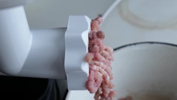 Making minced meat at home close-up — Stock Video