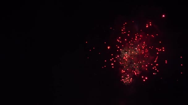 Feestelijk vuurwerk in de zwarte lucht. 4k — Stockvideo