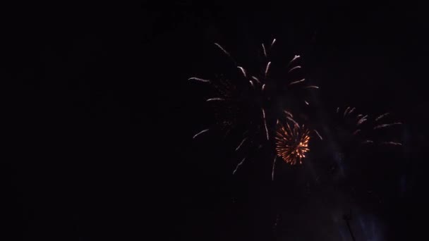 Fuegos artificiales festivos en el cielo negro. 4k — Vídeo de stock
