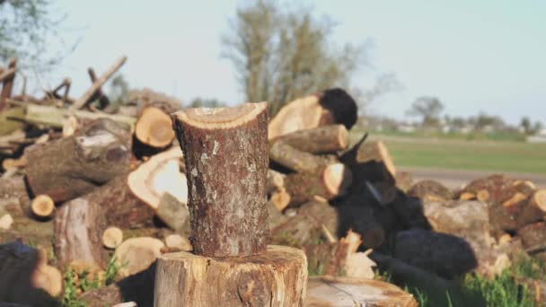 Couper le bois avec une hache close-up — Video