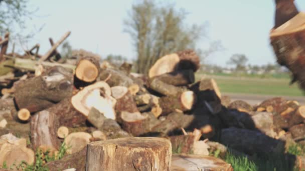 Couper le bois avec une hache close-up — Video