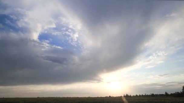 Puesta de sol sobre el campo de colza. lapso de tiempo de puesta del sol — Vídeo de stock